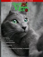 CHUCHOS Y DEMAS BICHOS
